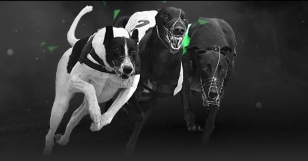 报名名单揭,热议中国女,排新帅,开云,KaiYun,开云官网,kaiyun·开云（中国）官网,kaiyun·开云（中国）下载,开云APP